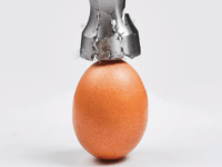 Estrategias de Antifragilidad: Preparar la empresa para un 2026 incierto, no solo&nbsp;sobrevivirlo